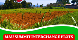 50 BY 100 Plots in Mau Summit