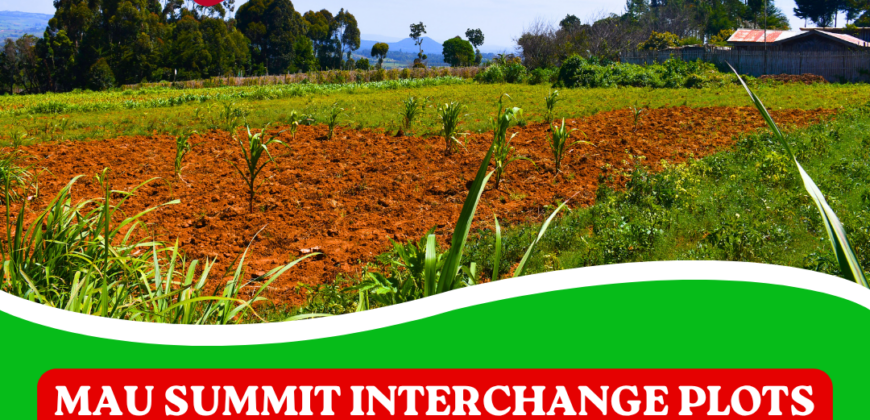 50 BY 100 Plots in Mau Summit